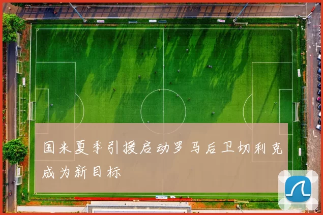 国米夏季引援启动罗马后卫切利克成为新目标