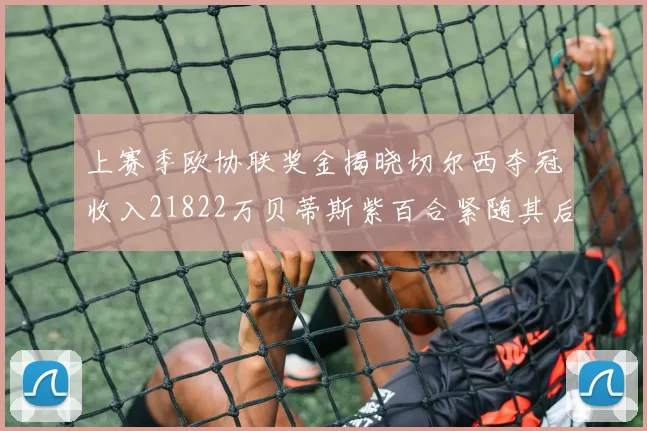 上赛季欧协联奖金揭晓切尔西夺冠收入21822万贝蒂斯紫百合紧随其后